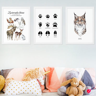 Plakaty edukacyjne ze zwierzętami leśnymi - rysiem, łosiem, lisem i sową do pokoju dziewczynki