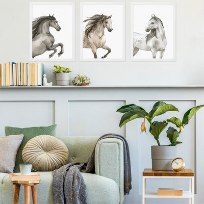 Plakaty do salonu konie z białymi ramkami