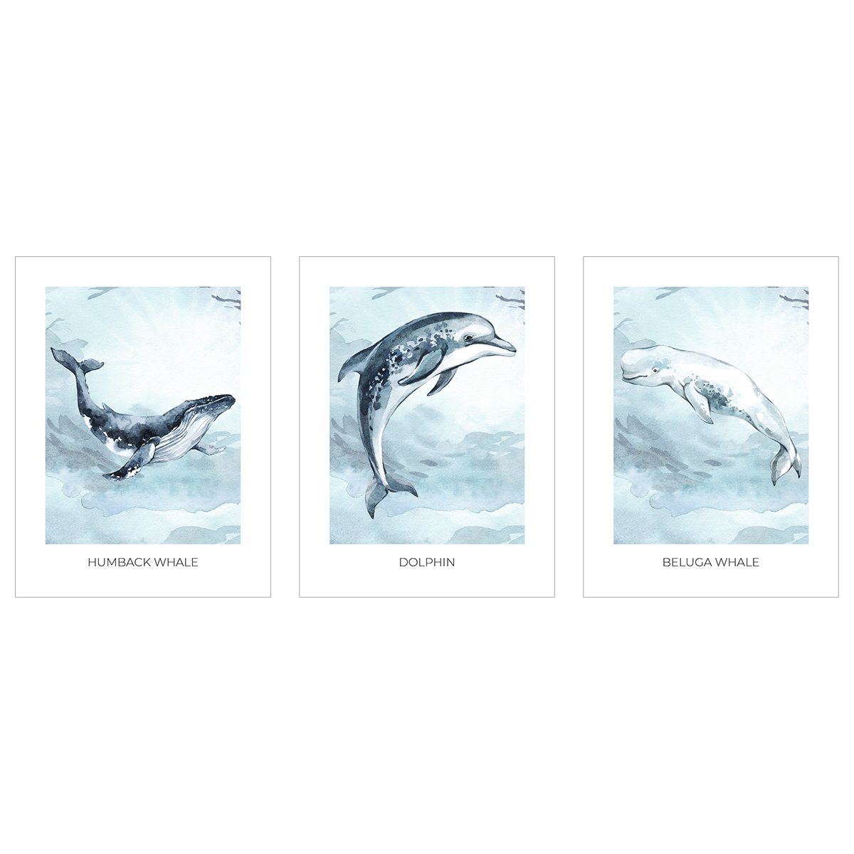 Plakaty edukacyjne ze zwierzętami morskimi - zestaw trzech plakatów