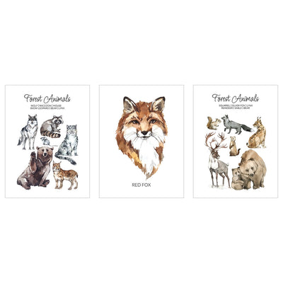 Plakaty edukacyjne w języku angielskim - zwierzęta leśne - zestaw trzech plakatów