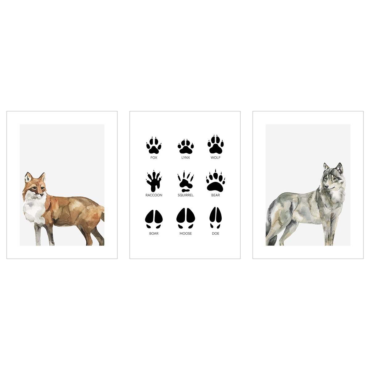 Plakaty z lisem, wilkiem i śladami zwierząt leśnych - zestaw trzech plakatów