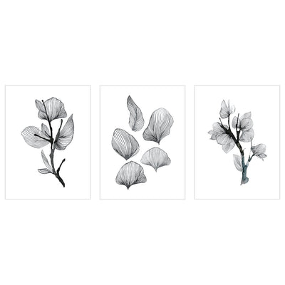 Plakaty do biura - graficzne rośliny - zestaw trzech plakatów