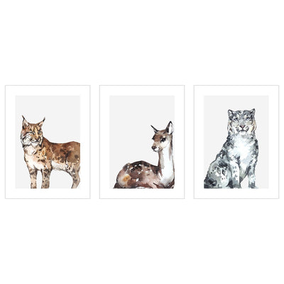 Plakaty - zwierzęta leśne - zestaw trzech plakatów