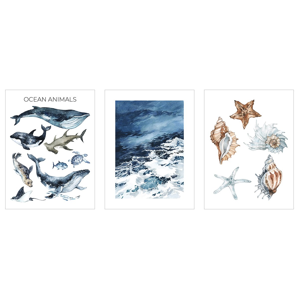 Plakaty na ścianę - morze, muszle i zwierzęta morskie - zestaw trzech plakatów