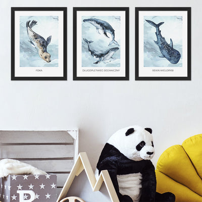 Plakaty dydaktyczne na ścianę dla dziewczynki - foka, wieloryby i rekin