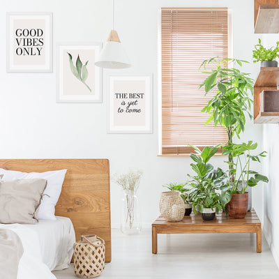 Plakaty napisy i rośliny z białymi ramkami w sypialni#kolor_brzoskwiniowy