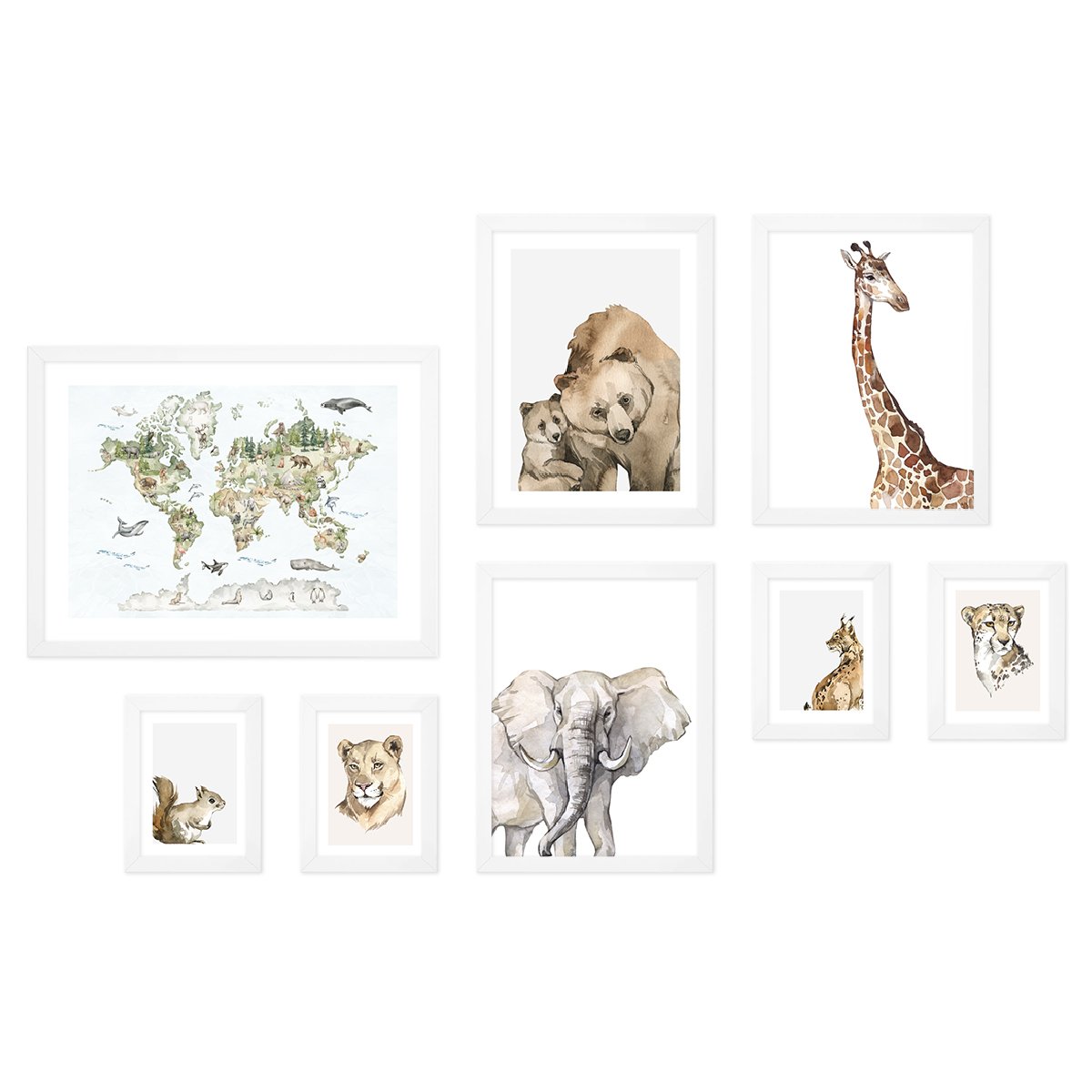 Galeria obrazów - plakaty ze zwierzętami i mapą - komplet ośmiu plakatów z ramkami#ramka_biala