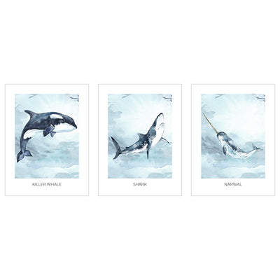 Plakaty - zwierzęta morskie - zestaw trzech plakatów