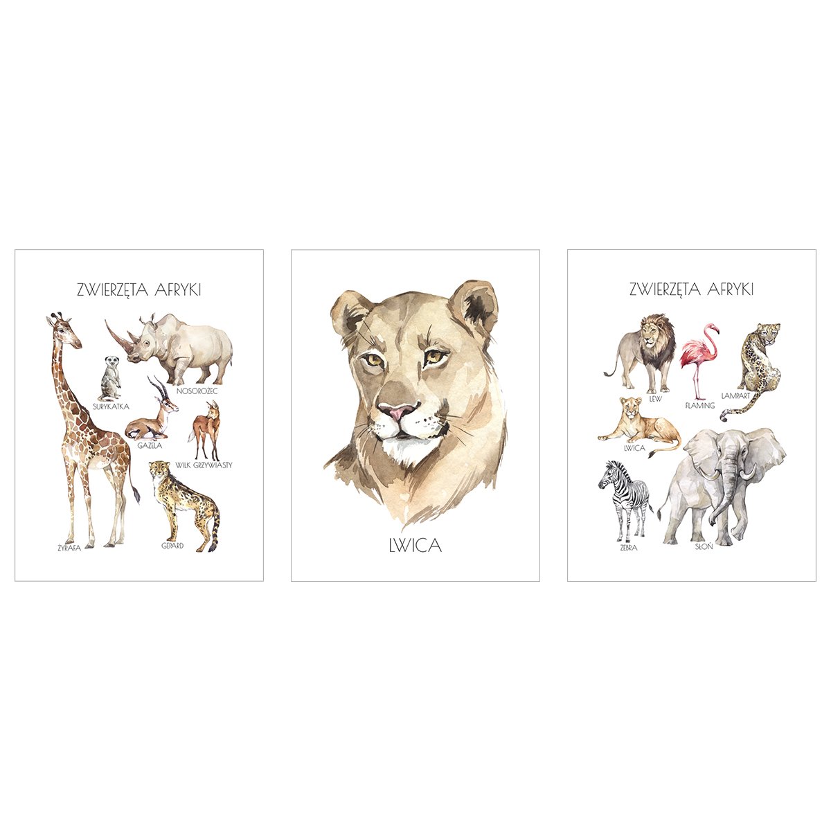 Plakaty do przedszkola - zwierzęta Afryki - zestaw trzech plakatów