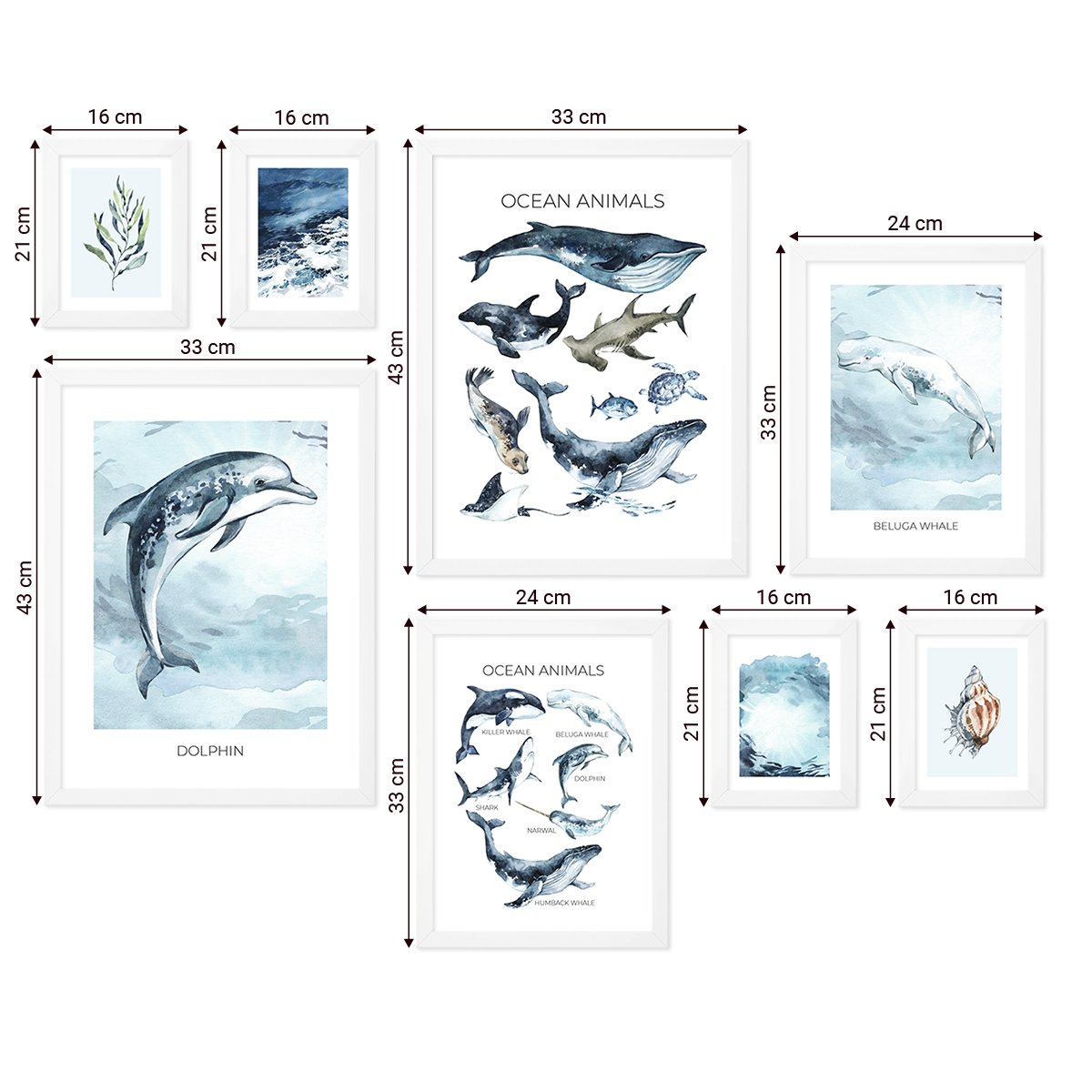 Galeria obrazów z motywem oceanu - plakaty zwierzęta morsie w białych ramkach do pokoju dziecięcego#ramka_biala