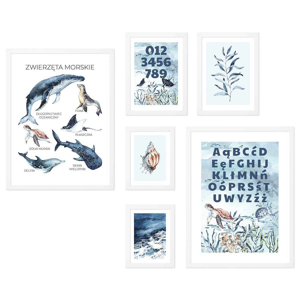Galeria obrazów do pokoju przedszkolaka - zestaw edukacyjnych ilustracji z motywem morskim zwierząt w białych ramkach dla dzieci#ramka_biala