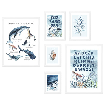 Galeria obrazów do pokoju przedszkolaka - zestaw edukacyjnych ilustracji z motywem morskim zwierząt w białych ramkach dla dzieci#ramka_biala