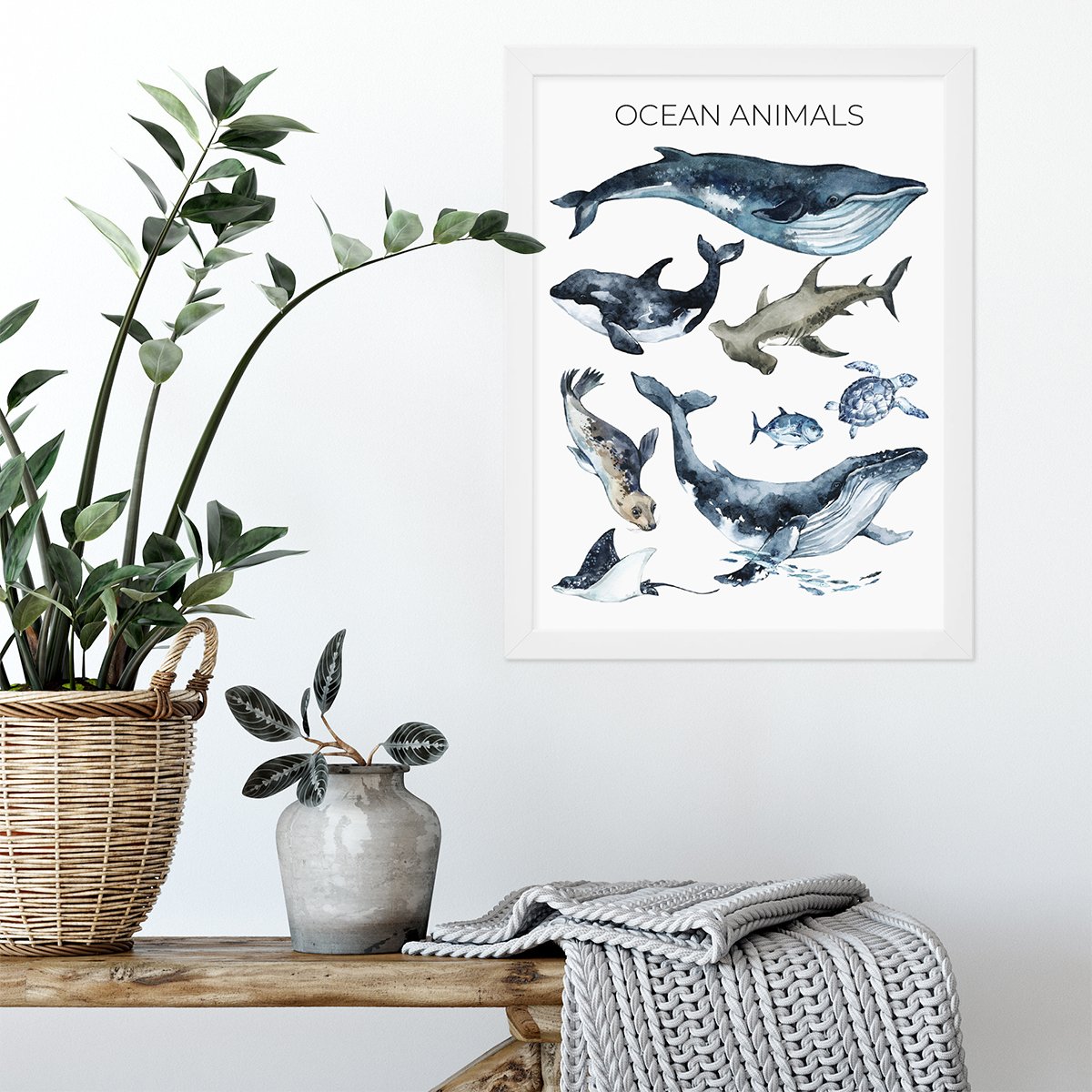 Zwierzęta oceaniczne - ocean animals - plakat z biała ramką w zestawie